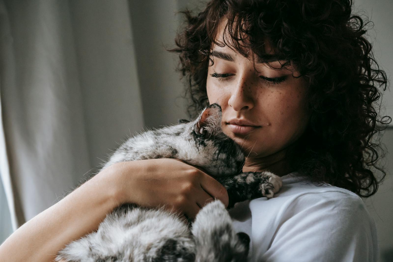 An owner cuddling their cat in warm light