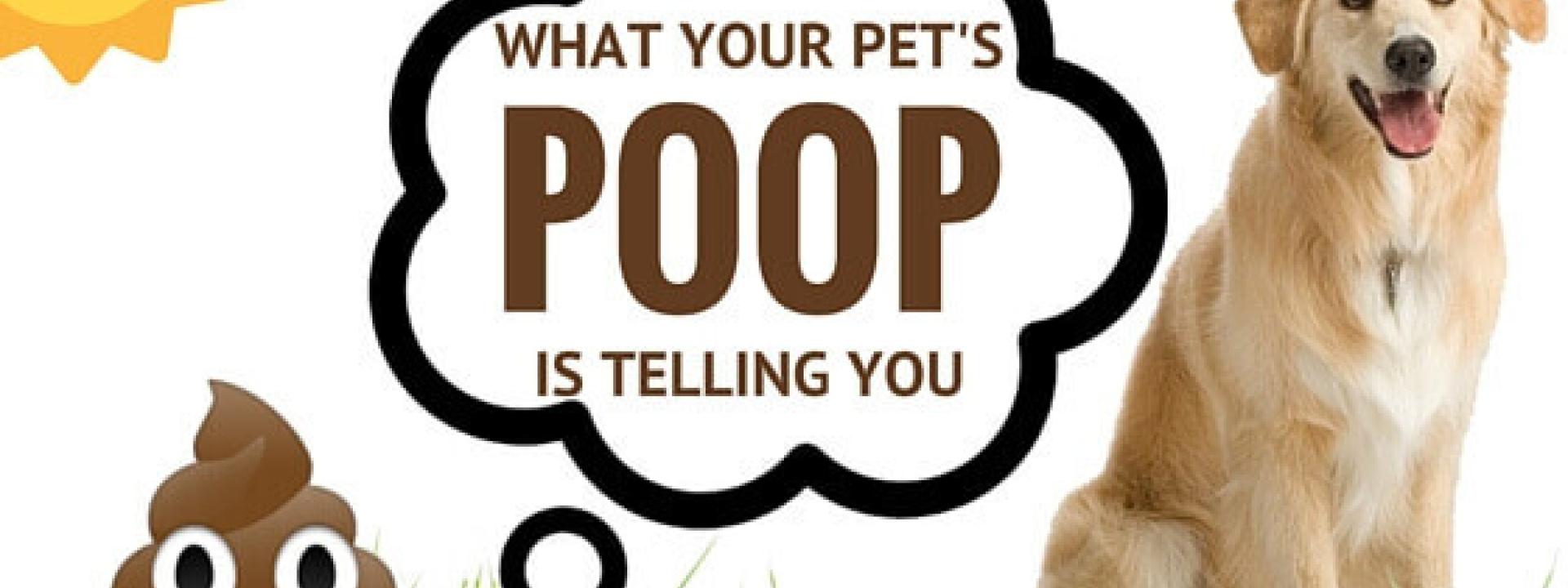 pet poop